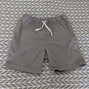 Chubbies 7" shorts